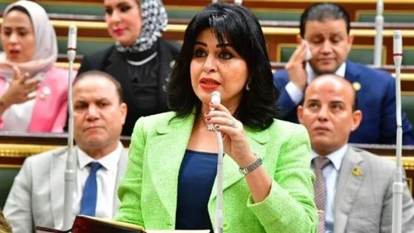 برلمانية: “مستقبل مصر” تمثل خطوة جدية نحو تحقيق الاكتفاء الذاتي وتعزيز الاستثمار في البلاد برلمانية: “مستقبل مصر” تمثل خطوة جدية نحو تحقيق الاكتفاء الذاتي وتعزيز الاستثمار في البلاد