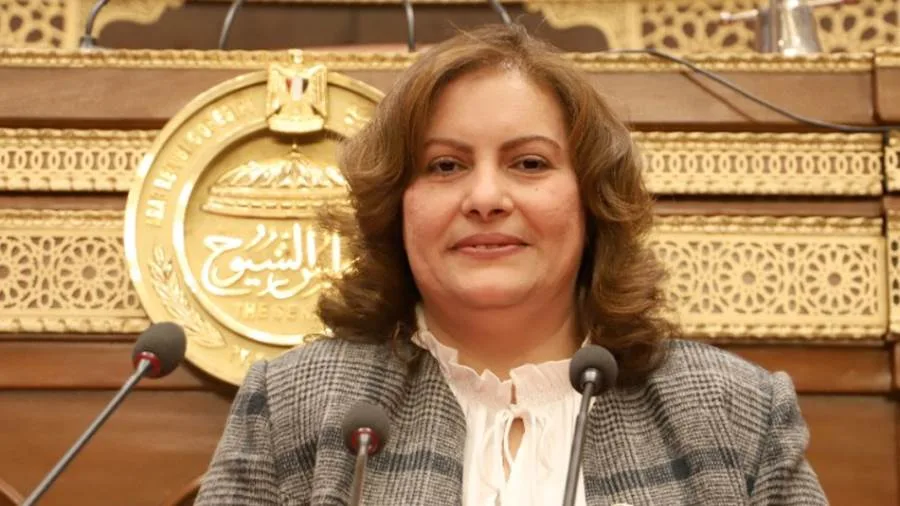 برلمانية: مشروع "الإيجار القديم" يهدد السلم الاجتماعي ويتعارض مع بعض المبادئ الدستورية