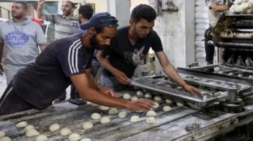 “برنامج الأغذية العالمي”: المساعدات المحدودة لا تكفي لمنع المجاعة في غزة