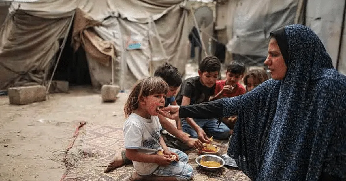 برنامج الأغذية العالمي: نصف مليون فلسطيني في غزة يواجهون خطر المجاعة برنامج الأغذية العالمي: نصف مليون فلسطيني في غزة يواجهون خطر المجاعة