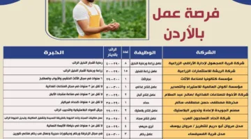 برواتب تصل إلى 500 دينار.. وزير العمل يعلن عن 45 فرصة عمل جديدة في الأردن