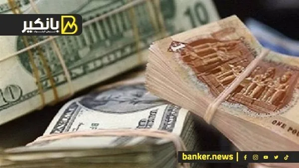 بشري سارة للاقتصاد المصري بخصوص سعر صرف الجنيه المصري قدام العملات الأجنبية