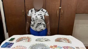 بطريقة خادعة.. اعتقال سيدة أجنبية بتهمة سرقة أموال من شقة في قصر النيل