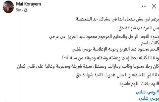 بعد إثبات طلاقها.. زوجة خالد الصاوي تكشف عن مفاجأة عن علاقة بوسي شلبي ومحمود عبد العزيز