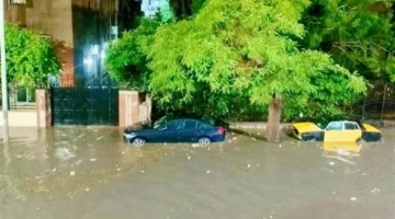 بعد الاضطرابات الكبيرة.. “الصحة” تعزز مستويات الاستعداد الصحي في الإسكندرية
