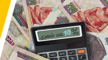 بعد تخفيض الفائدة في 2025.. ما هي عوائد 100 ألف جنيه في البنك شهريًا؟