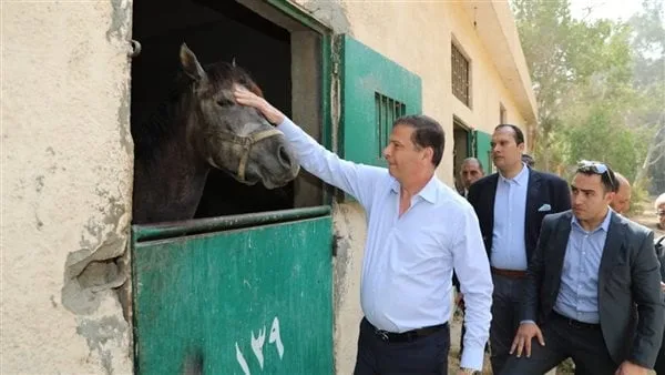 بعد تعليمات السيسي.. الزراعة توجه بتشكيل لجنة لتقييم وضع محطة الزهراء للخيول العربية الأصيلة وتحديد اللازم للتطوير