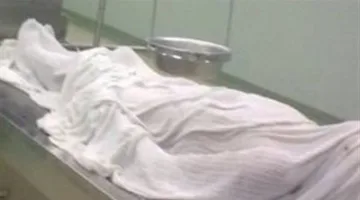 بقرة تؤدي إلى وفاة سيدة وإصابة أفراد من أسرتها في الحامول بكفر الشيخ