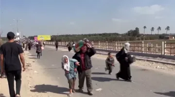 بكور: ألمانيا تتمسك بحل الدولتين وترفض تهجير الفلسطينيين