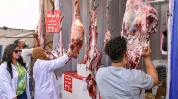 بمناسبة عيد الأضحى… محافظ الشرقية يفتح معرضًا لبيع المواد الغذائية بأسعار مخفضة.