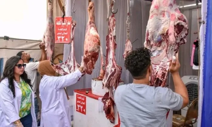 بمناسبة عيد الأضحى… محافظ الشرقية يفتح معرضًا لبيع المواد الغذائية بأسعار مخفضة.