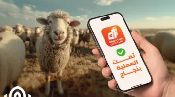 بنك القاهرة يتيح بسهولة وأمان شراء “صك الأضحية” من خلال محفظة قاهرة كاش