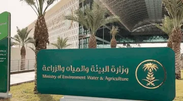 “بيئة حائل” تبحث سُبل تحسين إنتاجية وجودة العسل المحلي