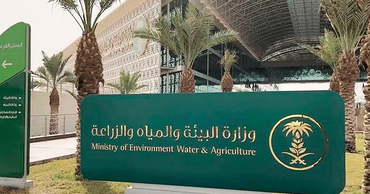 “بيئة حائل” تبحث سُبل تحسين إنتاجية وجودة العسل المحلي “بيئة حائل” تبحث سُبل تحسين إنتاجية وجودة العسل المحلي