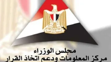 «بيانات الوزراء»: تم بيع 17.3 مليون سيارة كهربائية عالمياً في 2024