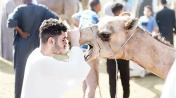 تاجر الجمال: ورثت التجارة من والدي وبدأت العمل في سن الثالثة