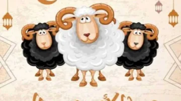 تاريخ عطلة عيد الأضحى 2025.. متى ستبدأ؟