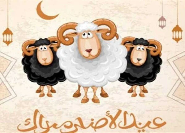 تاريخ عطلة عيد الأضحى 2025.. متى ستبدأ؟ تاريخ عطلة عيد الأضحى 2025.. متى ستبدأ؟