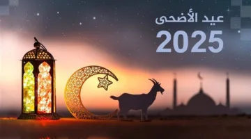 الحكومة تعلن عن تاريخ عيد الأضحى 2025 في مصر: 5 أيام عطلة رسمية