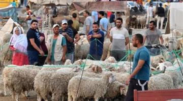 تاريخ وقفة عرفات وعيد الأضحى 2025 في تونس.. أجمل بطاقات التهنئة