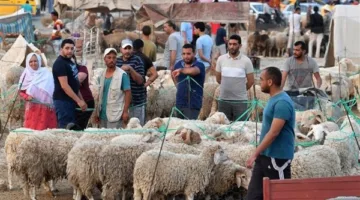 تاريخ وقفة عرفات وعيد الأضحى في الكويت: تهاني مكتوبة مميزة
