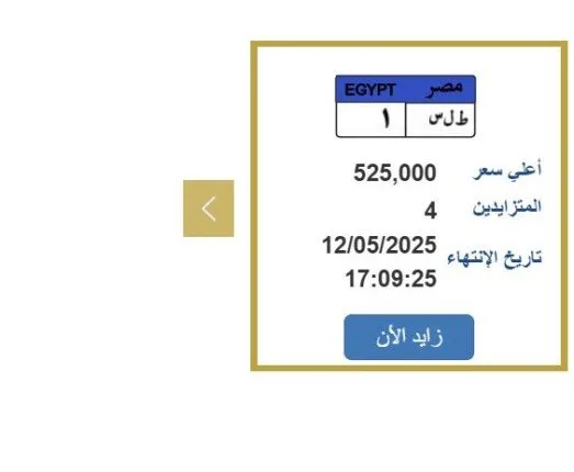 تتجاوز نصف مليون جنيه.. “الإدارة العامة للمرور” تعرض لوحة سيارة فريدة للبيع