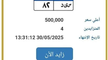 تجاوز سعرها 500,000.. عرض لوحة سيارة فريدة للمزايدة