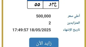 تجاوزت 500 ألف جنيه: المرور يعلن عن مزاد على لوحة سيارة فريدة في هذا التاريخ