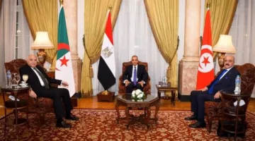 وزير الخارجية: القضية الليبية تشكل أولوية للأمن القومي لكل من مصر والجزائر وتونس