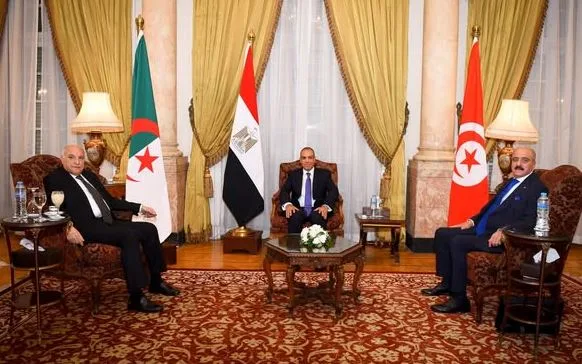 وزير الخارجية: القضية الليبية تشكل أولوية للأمن القومي لكل من مصر والجزائر وتونس
