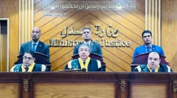 تحديد موعد محاكمة أبرز محتال في تزوير الشهادات الجامعية والمهنية في وادي النطرون المعروف بلقب القنصل