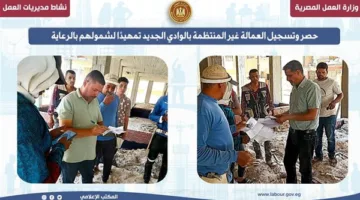 تحديد وتوثيق العمالة غير النظامية في الوادي الجديد