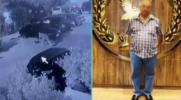تحقيق حول حادث اعتداء على كلب مشرد أدى إلى وفاته
