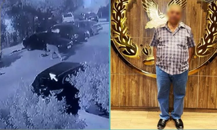 تحقيق حول حادث اعتداء على كلب مشرد أدى إلى وفاته تحقيق حول حادث اعتداء على كلب مشرد أدى إلى وفاته