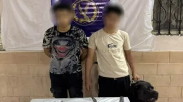 تحقيق حول فيديو يُظهر شخصين يمارسان البلطجة باستخدام سلاح أبيض وكلب في الجيزة “فيديو”
