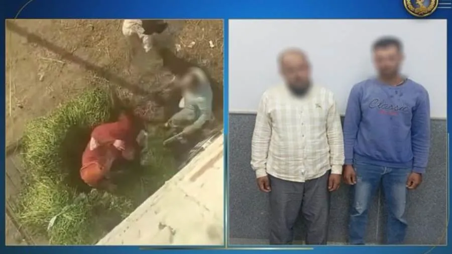 تحقيق في تفاصيل انتشار فيديو يظهر اعتداء شخصين على سيدة بالضرب في الدقهلية