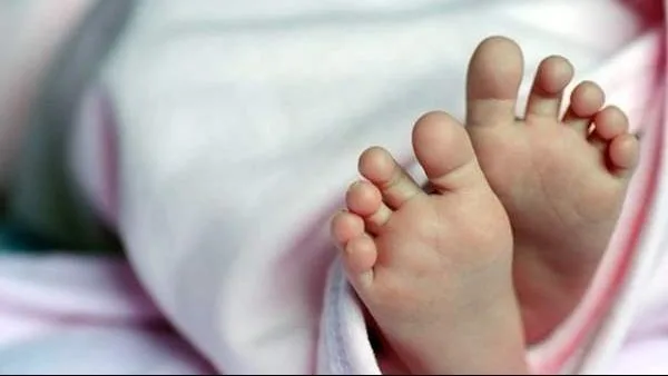 تحقيقات شاملة لكشف ملابسات اكتشاف جثة طفلة داخل حقيبة في السلام تحقيقات شاملة لكشف ملابسات اكتشاف جثة طفلة داخل حقيبة في السلام