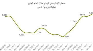 تحليل: بعد التوترات بين الهند وباكستان والرسوم الجمركية الأمريكية، ارتفاع أسعار الأرز البسمتي عالمياً بنسبة 15%