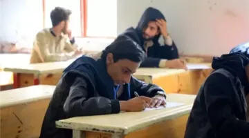 تحميل نماذج امتحانات الثانوية العامة 2025 | دليل كامل ورابط مباشر من وزارة التربية والتعليم