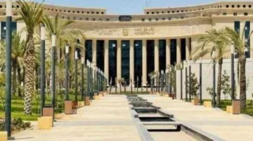 تحويلات المصريين في الخارج تحقق زيادة تاريخية وتبلغ 32.6 مليار دولار.