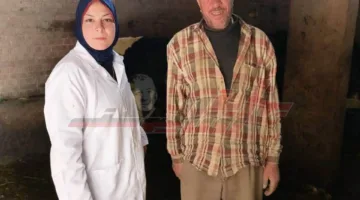 تدقيق 18136 رأس بقر و9840 جاموس و3633 غنم في كفر الشيخ