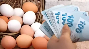 تراجع أسعار البيض في تركيا لا يظهر على الأسعار المُعلَقة!