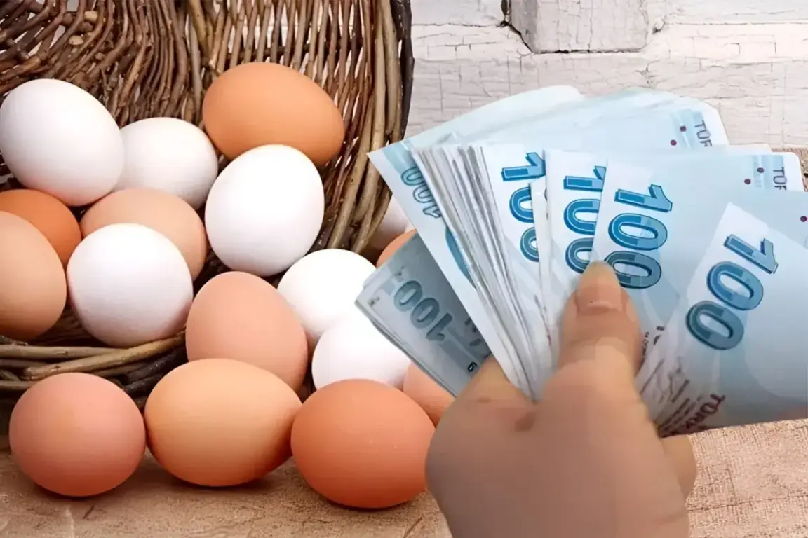 تراجع أسعار البيض في تركيا لا يظهر على الأسعار المُعلَقة! تراجع أسعار البيض في تركيا لا يظهر على الأسعار المُعلَقة!