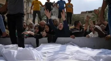“ترامب، الشخص الوحيد القادر على إنهاء الإبادة في غزة” – هل طرح ماكرون أفكاراً جديدة؟ ردود فعل عربية غاضبة من قادة الخليج.. فما السبب وراء ذلك؟ عمرو أديب يسترجع ذكريات الماضي ويكشف أنه حمل أموالاً سعودية لمصر في 2013.. هل كانت زلة لسان أم رسالة مقصودة؟