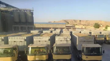 تزويد 345,678 طن من القمح لصوامع داخل وخارج أسوان