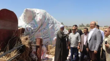 تسليم 69782 طن و718 كيلوغرام من القمح للمخازن والصوامع في القليوبية