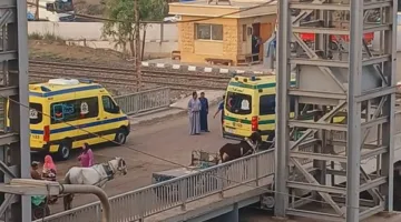 تصادم قطار مع جرار زراعي عند معبر كفر مساعد في إيتاي البارود بالبحيرة