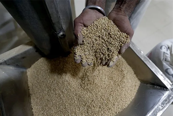 أسيوط تقوم بحملات تفتيشية شديدة: قمح ملوث ولحوم تالفة وسمن م adulterated. أسيوط تقوم بحملات تفتيشية شديدة: قمح ملوث ولحوم تالفة وسمن م adulterated.