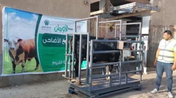 “تضامن الفيوم” تضع استراتيجية لتوزيع لحوم الأضاحي على الأسر المحتاجة.