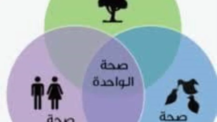 تطبيق مفهوم الصحة المتكاملة وأهمية الطب البيطري تطبيق مفهوم الصحة المتكاملة وأهمية الطب البيطري